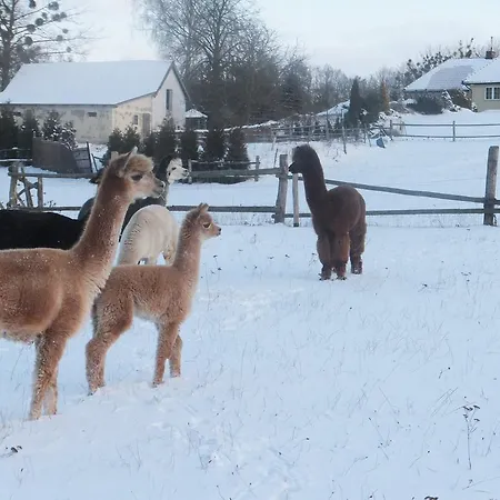 Seeblick Κατάλυμα σε φάρμα