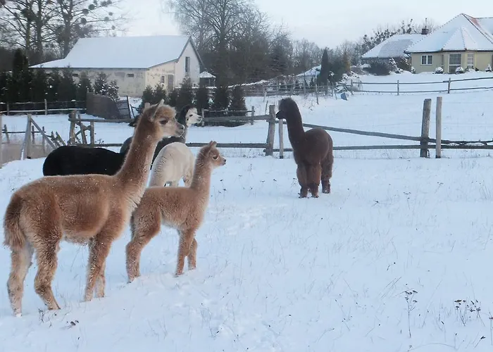 Seeblick 팜스테이